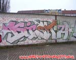 DISTER