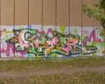 DISTER