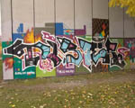 DISTER