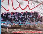 DISTER