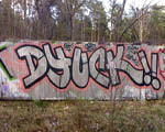 DIUK
