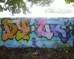 DIUK