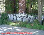 DIZZY