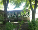 DKAS