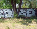 DOSE (MARZAHN)