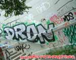DRON