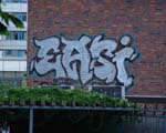 EASI