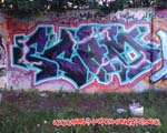ECAM
