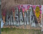 EHSONE