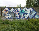 EHSONE