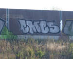 EMES