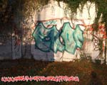 ENOR