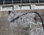 ENOS