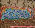 ESHOK