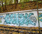 ESHOK