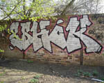 ESHOK