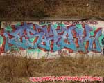 ESHOK