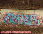 ESHOK