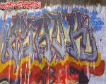 ESHOK