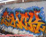 ESHOK