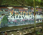 ESHOK