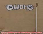 EWOKS