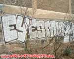 EYESN (MITTE)