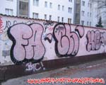 Fach