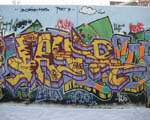 FAYR