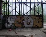 FAYR