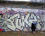 FAKS