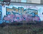 FAME
