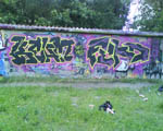 FEKD