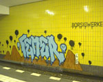 FEMER