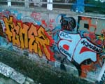 FEMER