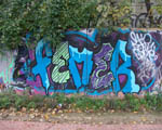 FEMER