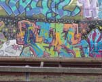 FEPS