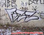 FEZZ