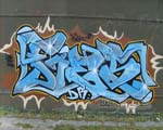 FIES