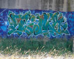 FINO