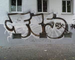 FiS