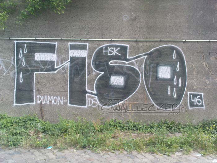 FiSO