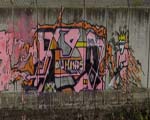 FiSO