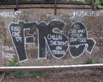 FiSO