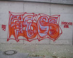 FiSO