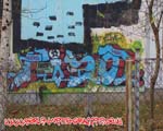 FiSO
