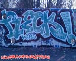 FLECK