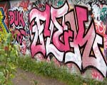 FLEK