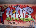 FLEK
