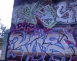 FLEK